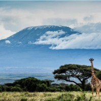 Отдых в Танзании: купить путёвку или тур в Танзанию по выгодной цене с вылетом из Алматы, Астаны, Актобе, Шымкента, Караганды от HOT TOUR (ХОТ ТУР)