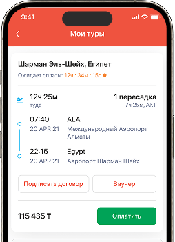 Мои туры