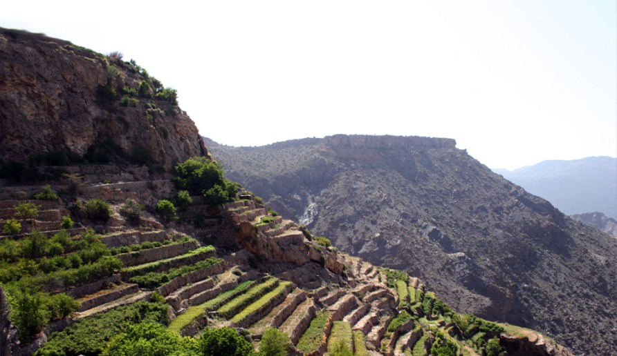 Низва и горы Jabal Akhdar